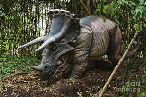 triceratops facts for kids